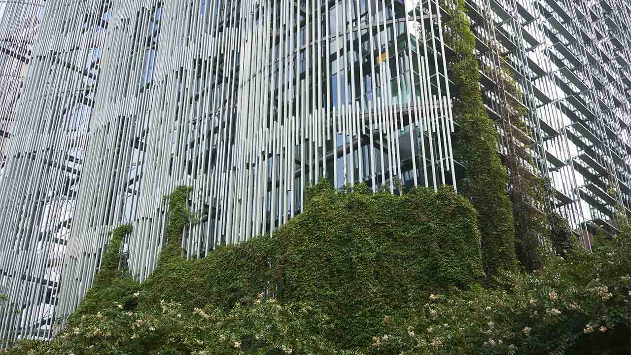 eco building, growing plants