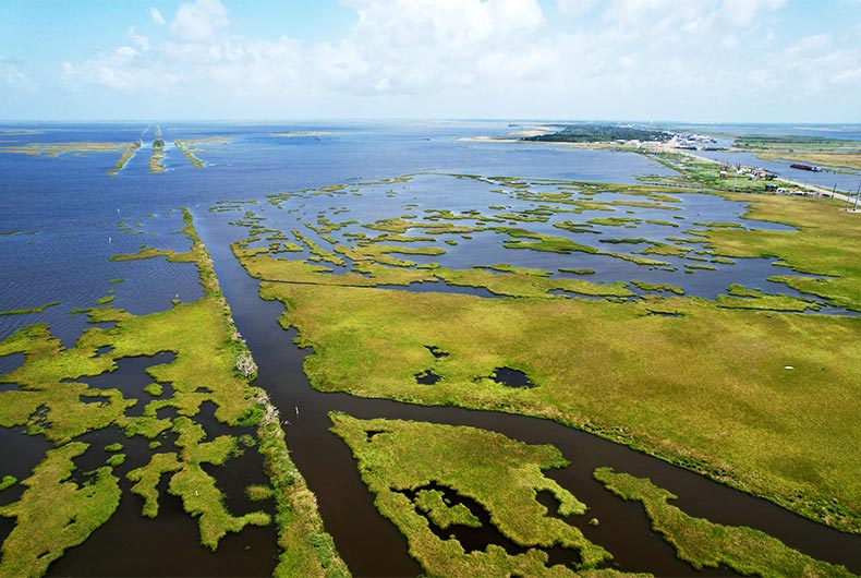 National Fish and Wildlife Fund