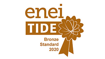 enei tide logo